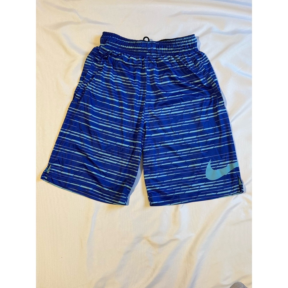 Nike Dri-FIT Athletic Shorts Mens Small Blue Striped Running Gym 9" Inseam